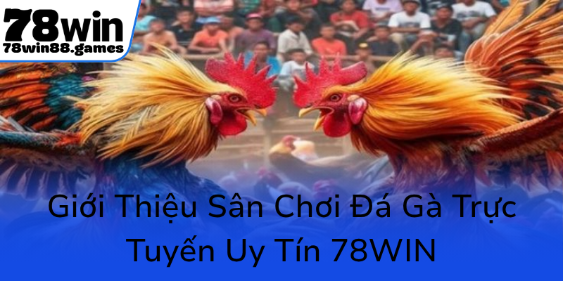 Khám Phá Sân Chơi Đá Gà 78WIN - Nơi Hội Tụ Bersiap Nhận Thắng Lợi 1 Gioi Thieu San Choi Da Ga Truc Tuyen Uy Tin 78Win0