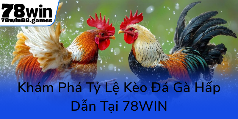 Khám Phá Sân Chơi Đá Gà 78WIN - Nơi Hội Tụ Bersiap Nhận Thắng Lợi 2 Kham Pha Ty Le Keo Da Ga Hap Dan Tai 78Win0