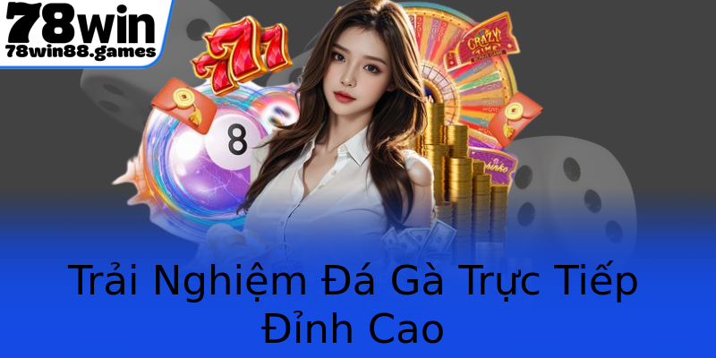 Trải Nghiệm Đá Gà Trực Tiếp Đỉnh Cao