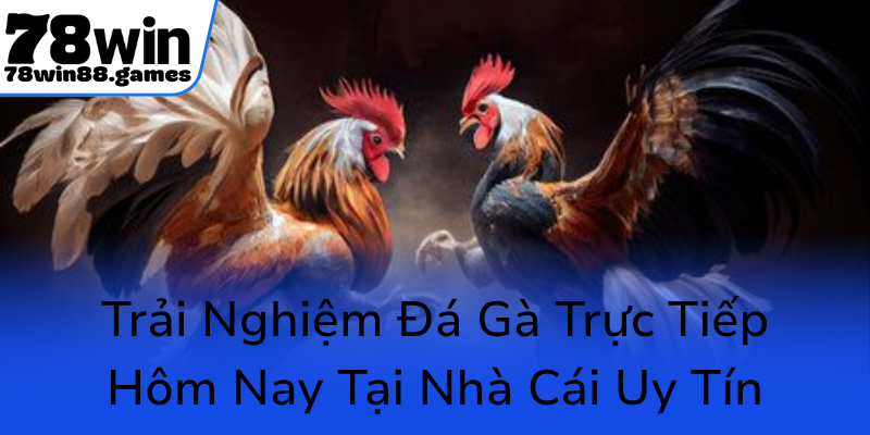 Khám Phá Sân Chơi Đá Gà 78WIN - Nơi Hội Tụ Bersiap Nhận Thắng Lợi 3 Trai Nghiem Da Ga Truc Tiep Hom Nay Tai Nha Cai Uy Tin0